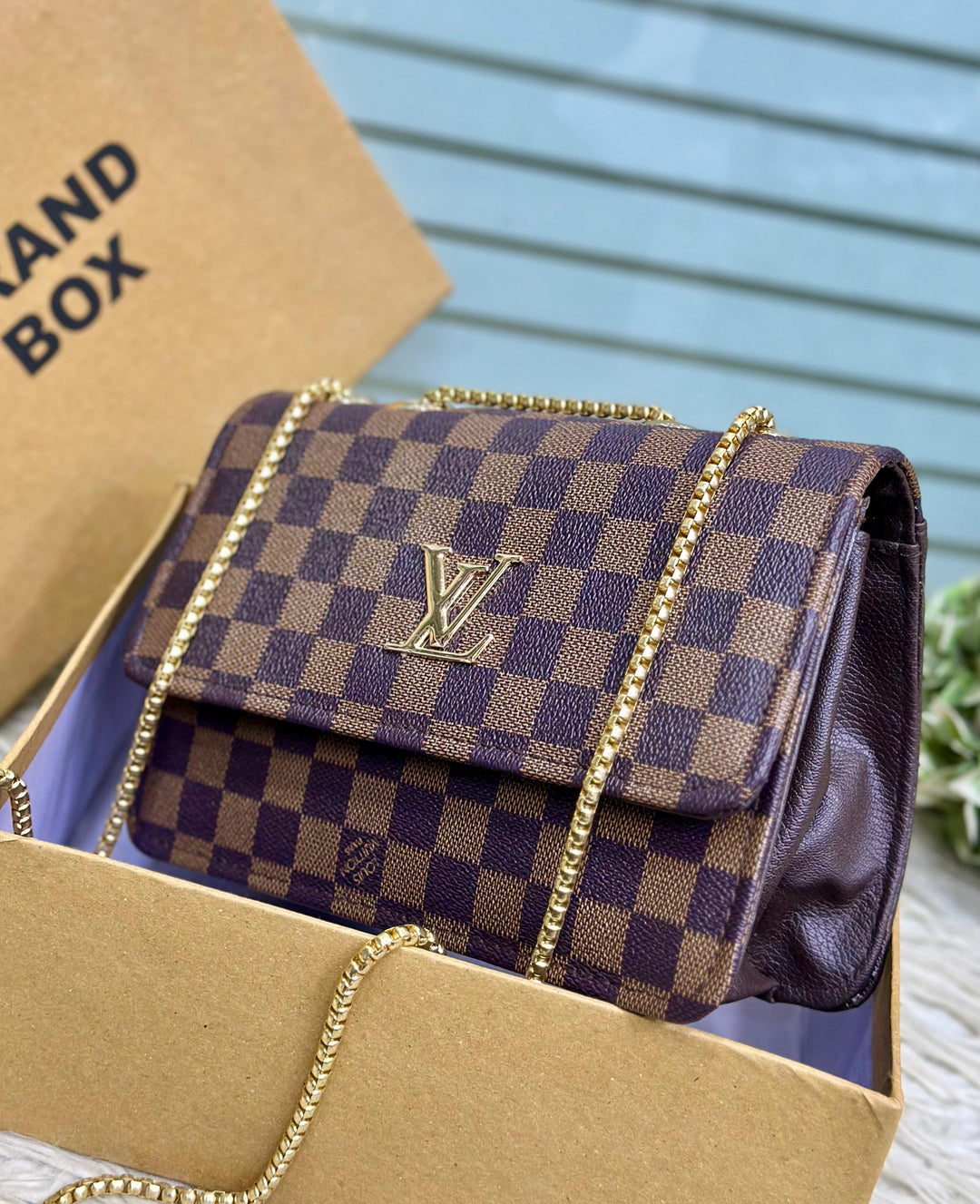 LV Bag