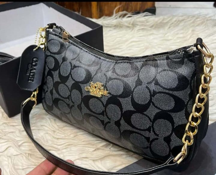 Coach and Louis Vuitton