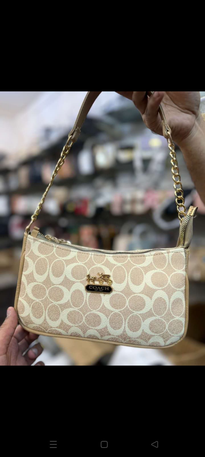 Coach and Louis Vuitton