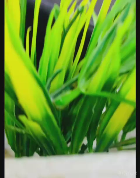 Luxury Cross Body For Women