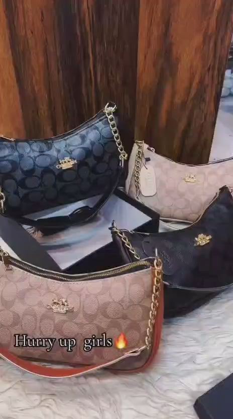 Coach and Louis Vuitton